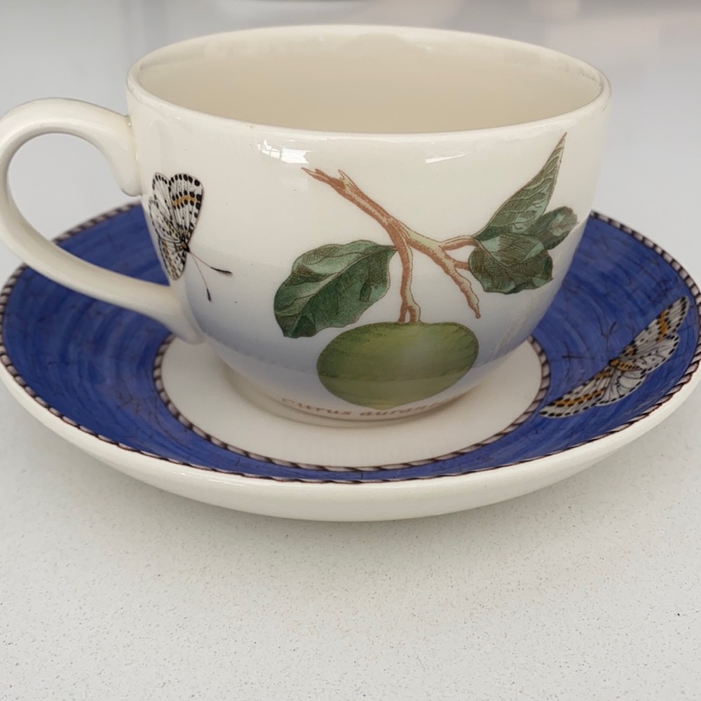 Wedgwood “Sarah’s Garden” tea cup and saucer